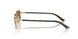 300673 - Gold - Dark Brown