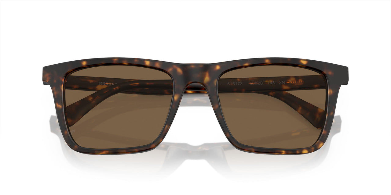 616173 - Tortoise - Dark Brown