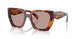 22A20I - Tortoise - Light Purple Brown