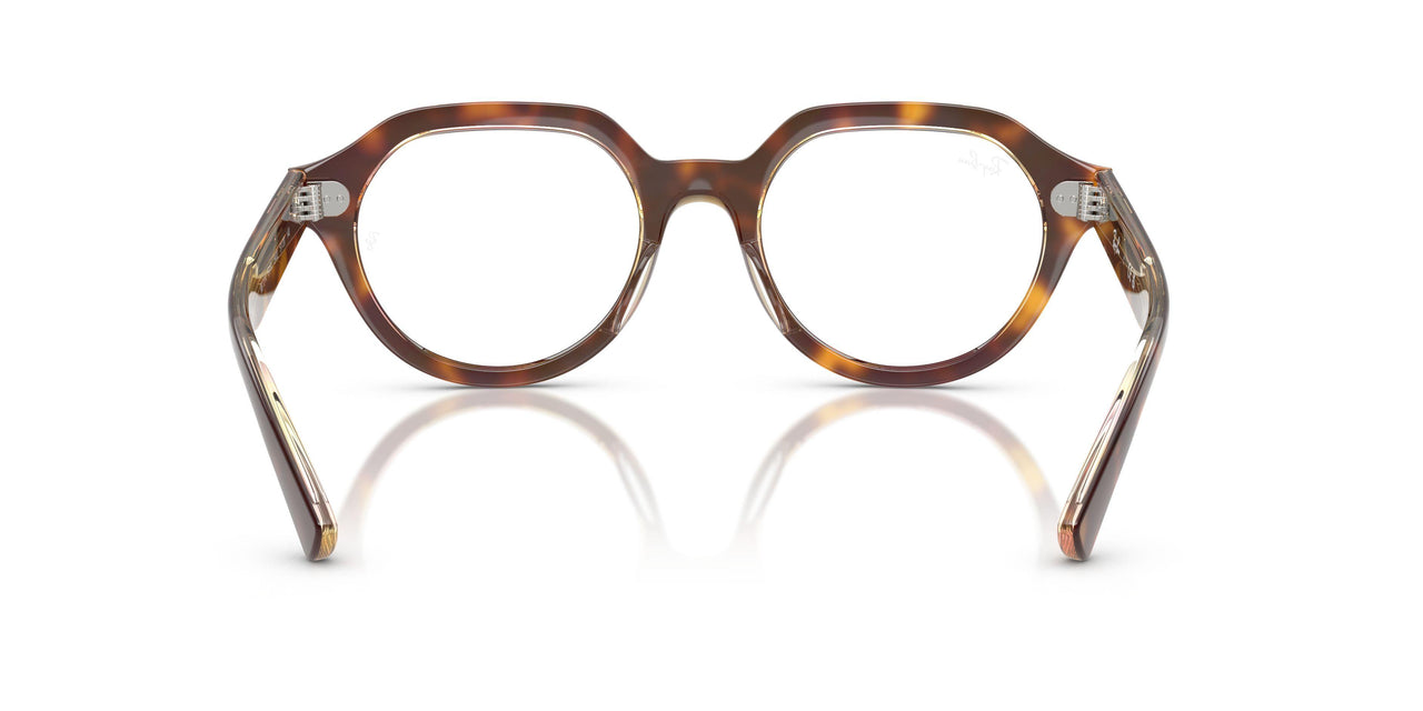 8402 - Tortoise - Clear