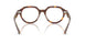 8402 - Tortoise - Clear
