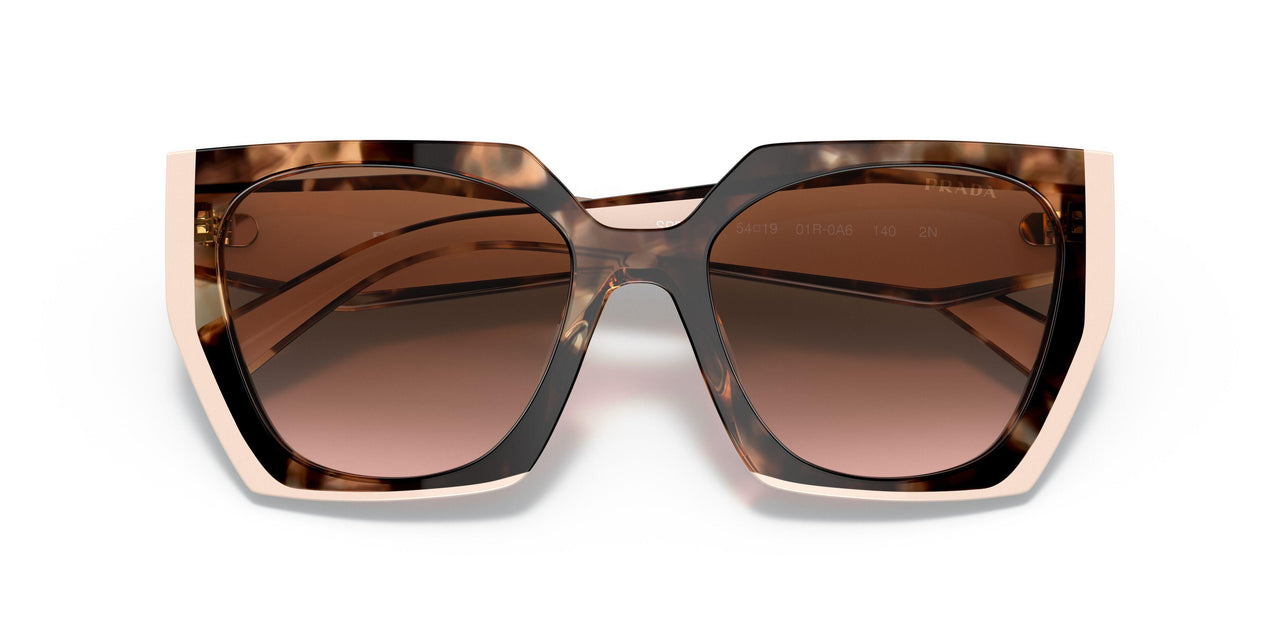01R0A6 - Havana - Brown Gradient