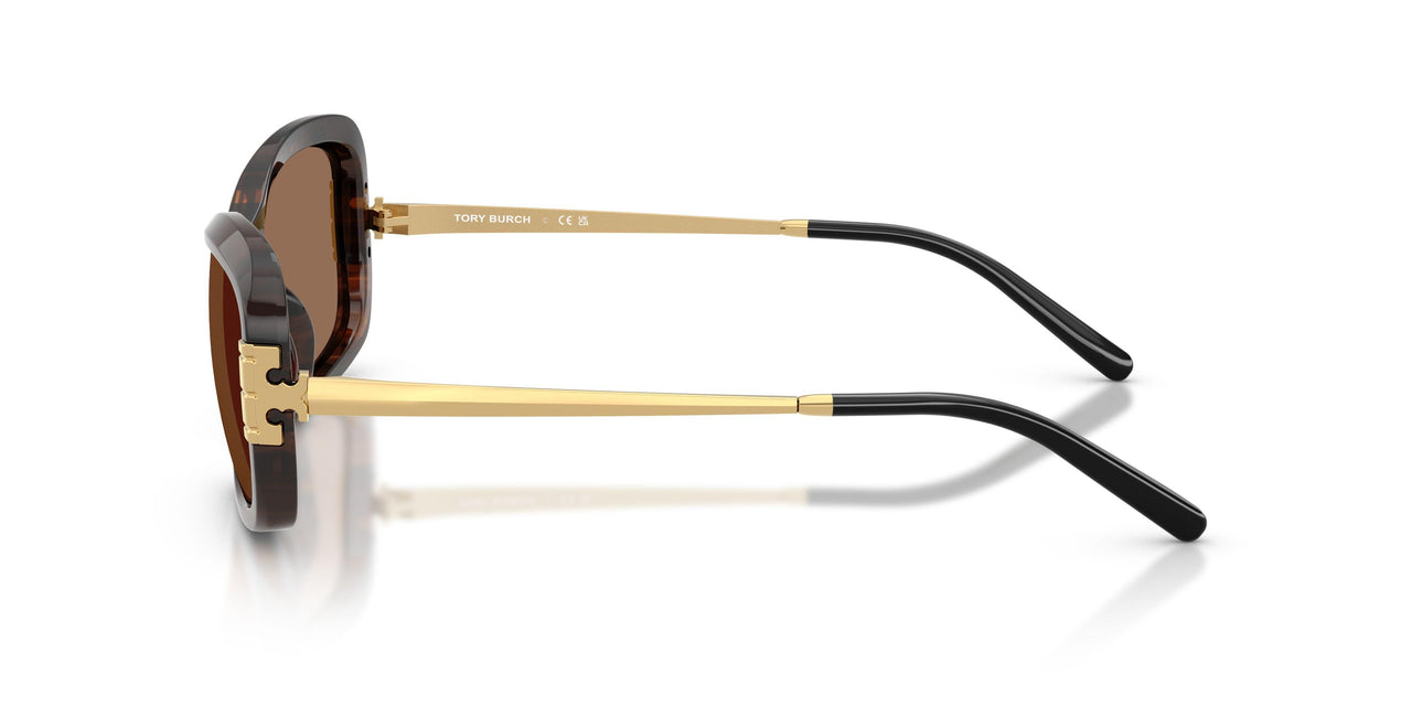 199273 - Tortoise - Dark Brown