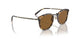 170053 - Gold - True Brown