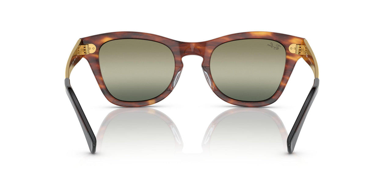 954/G4 - Havana - Green Vintage