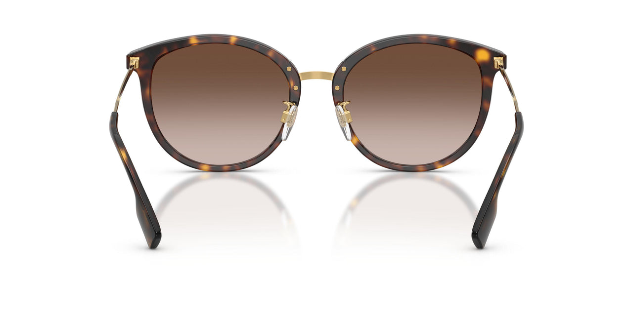 300213 - Havana - Brown Gradient