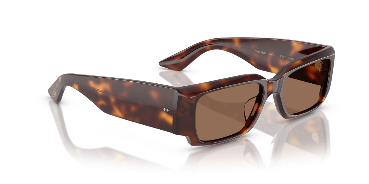 100773 - Tortoise - Brown