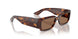 100773 - Tortoise - Brown