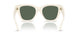 421871 - White - Dark Green