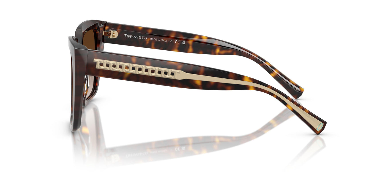80153B - Tortoise - Brown Gradient