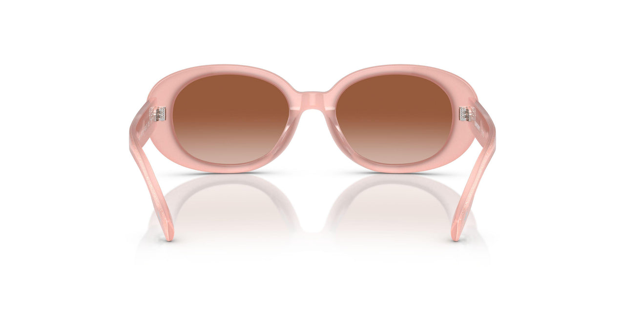 392313 - Pink - Brown Gradient
