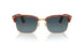 96/S3 - Tortoise - Blue