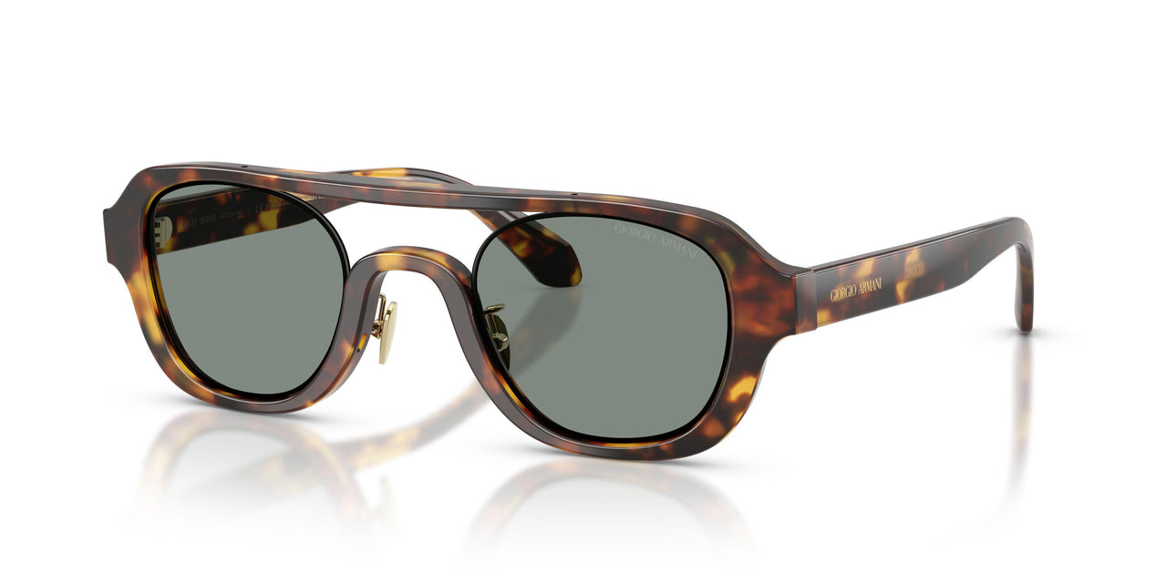 6331/1 - Tortoise - Grey