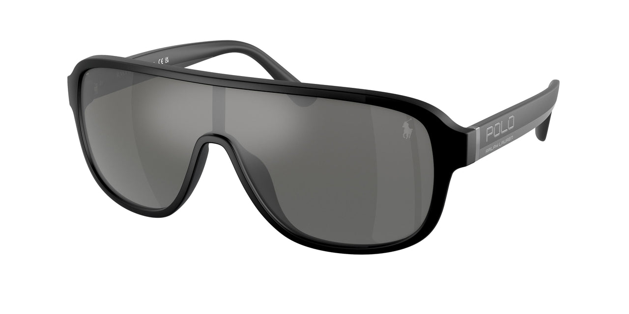 Polo 4196U Sunglasses