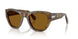 108/33 - Tortoise - Brown