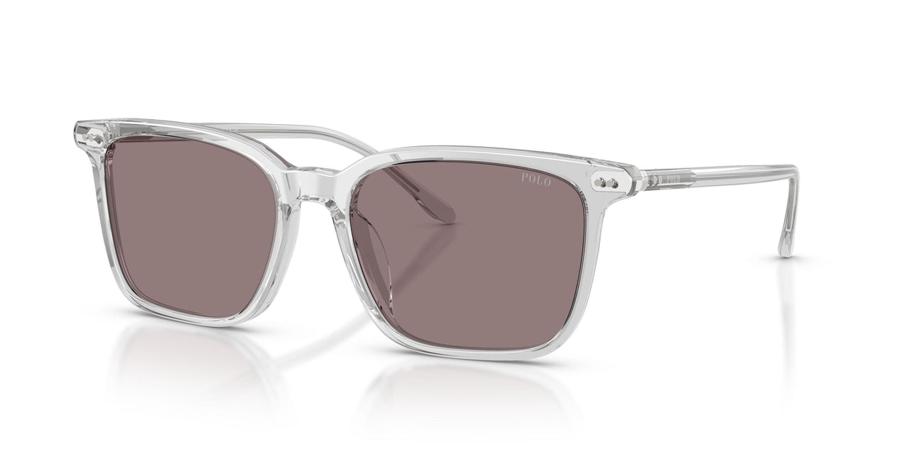 59587N - Grey - Dark Purple