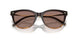 139253 - Brown - Sierra