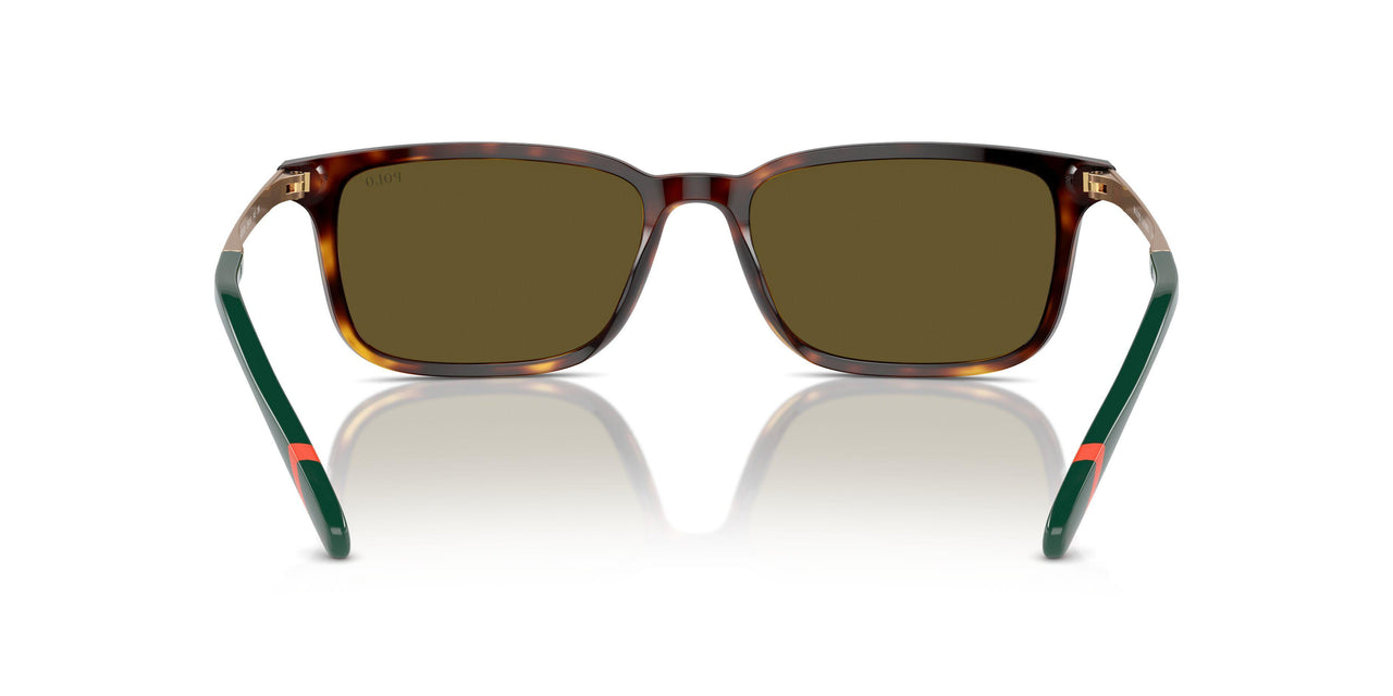 613773 - Tortoise - Olive Green