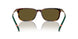 613773 - Tortoise - Olive Green