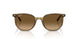 1439M2 - Green - Polarized Brown Gradient