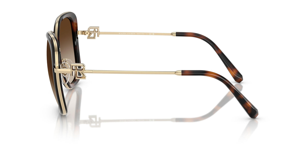 911613 - Brown - Gradient Brown