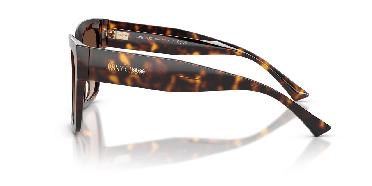 500213 - Tortoise - Gradient Brown