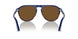 117857 - Multi - Brown Polar