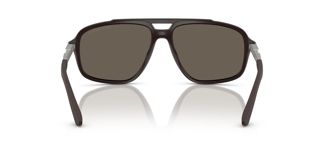 6186/3 - Brown - Brown