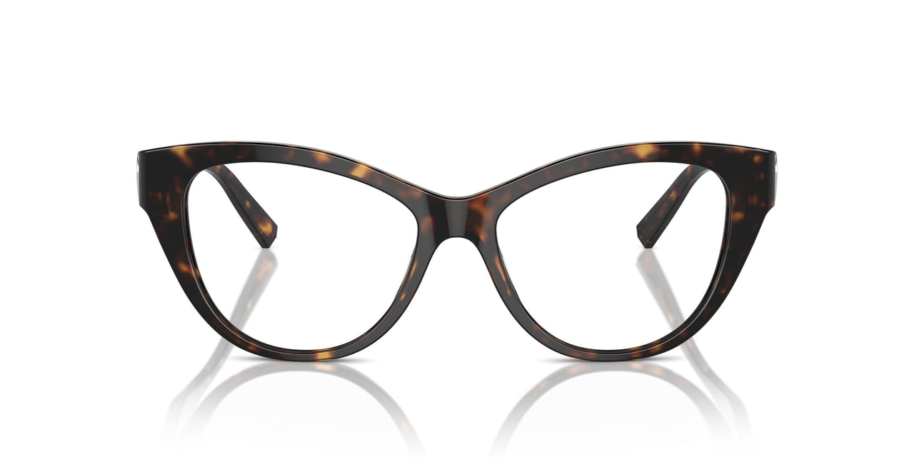 8015 - Tortoise