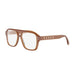 047 - Shiny Brown - DEMO