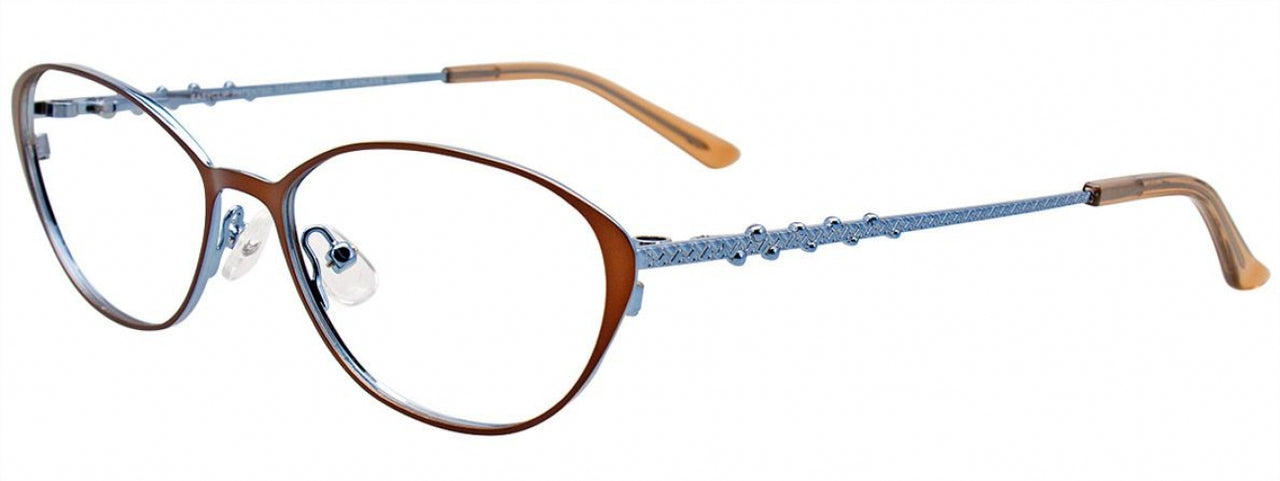 10 - Matt Brown & Shiny Light Blue/Shiny Light Blue