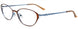 10 - Matt Brown & Shiny Light Blue/Shiny Light Blue