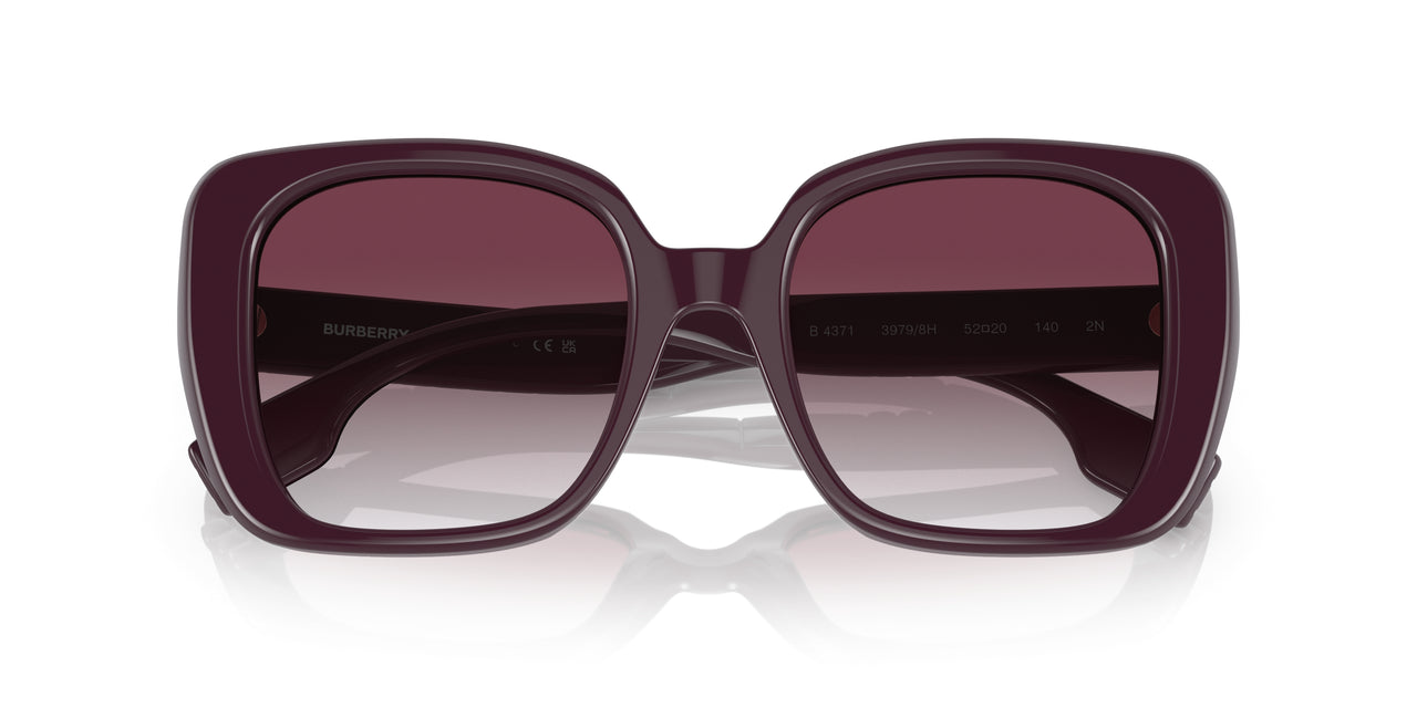 39798H - Bordeaux - Violet Gradient
