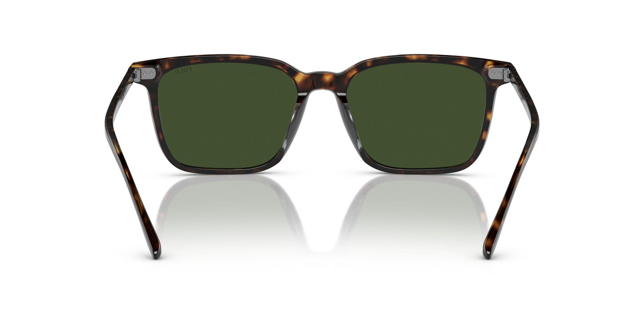 500371 - Brown - Dark Green