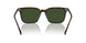 500371 - Brown - Dark Green