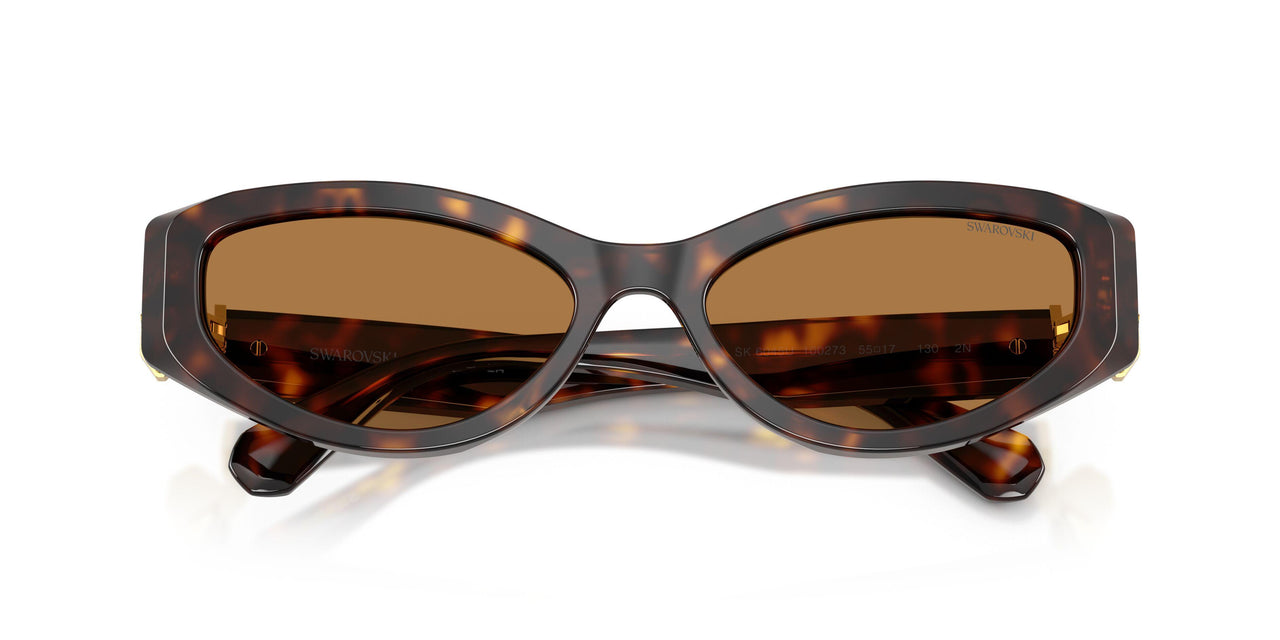 100273 - Tortoise - Bronze