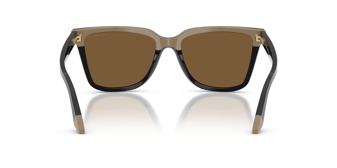631373 - Black - Brown