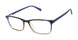 Ted Baker TXL011 Eyeglasses