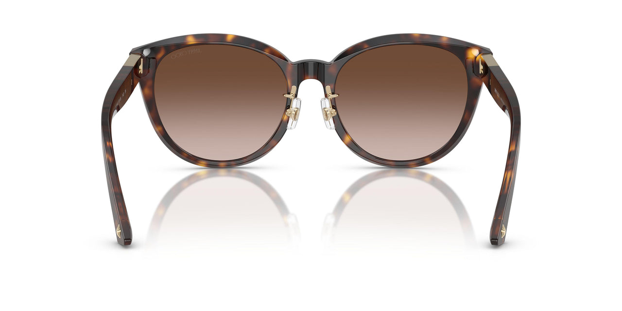 50028G - Tortoise - Gradient Brown