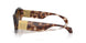 54613B - Tortoise - Brown Gradient