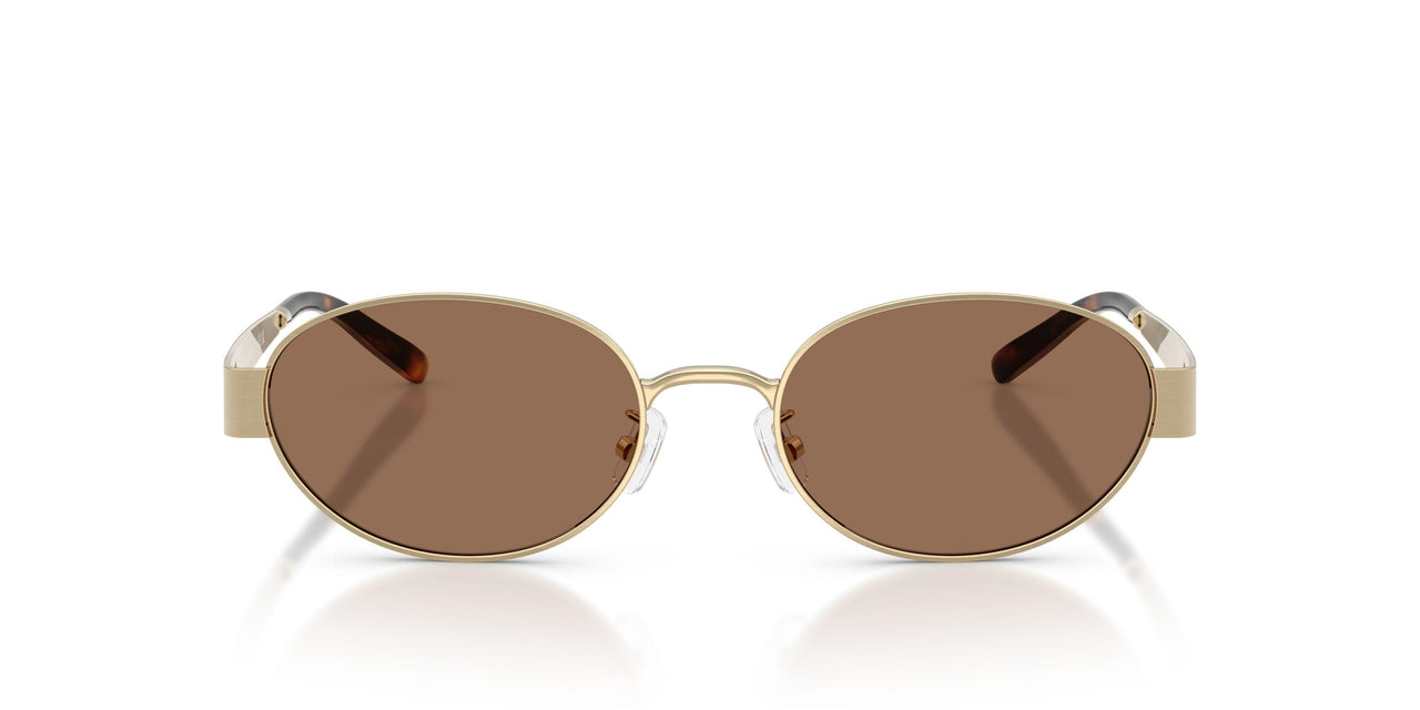 336273 - Gold - Dark Brown
