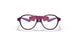 2976 - Violet