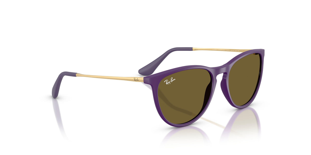 717973 - Violet - Dark Brown