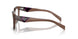 17O1O1 - Brown