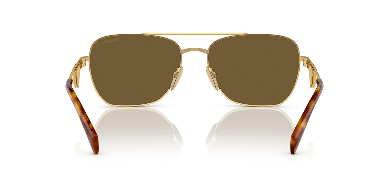 5AK01T - Gold - Dark Brown