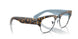 5883 - Tortoise - Clear