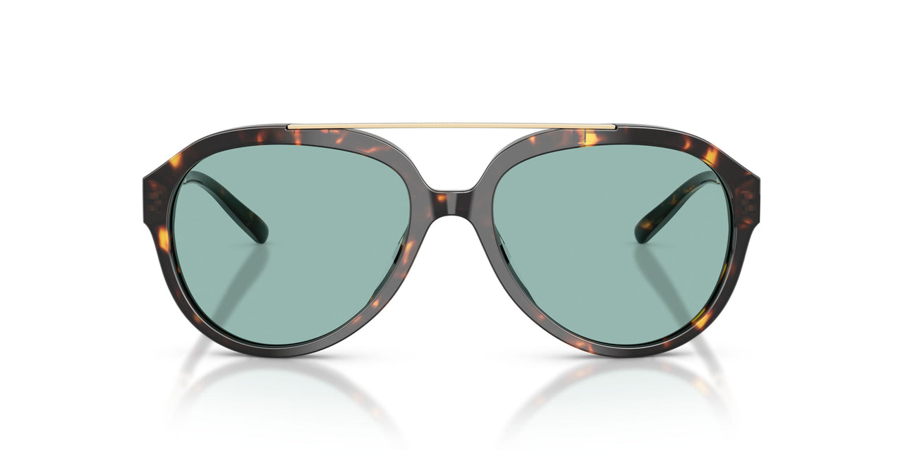 198182 - Tortoise - Petrol Green