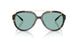 198182 - Tortoise - Petrol Green