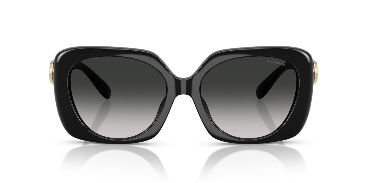 50023C - Black - Grey Gradient