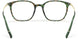 L240 - Havanna Wineyard Green